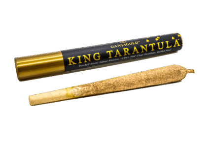 Ganja Gold/King Tarantula