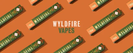✅Trusted website to buy Wyld Thc & CBD Vape Carts online. Order Wyld Thc & CBD Vape Carts with crypto. Most recommended website where Wyld Thc & CBD Vape Carts is for sale.