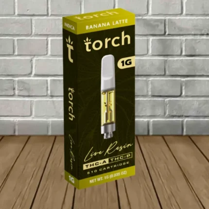 Torch Labs