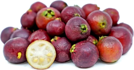 Buy Strawberry Guava