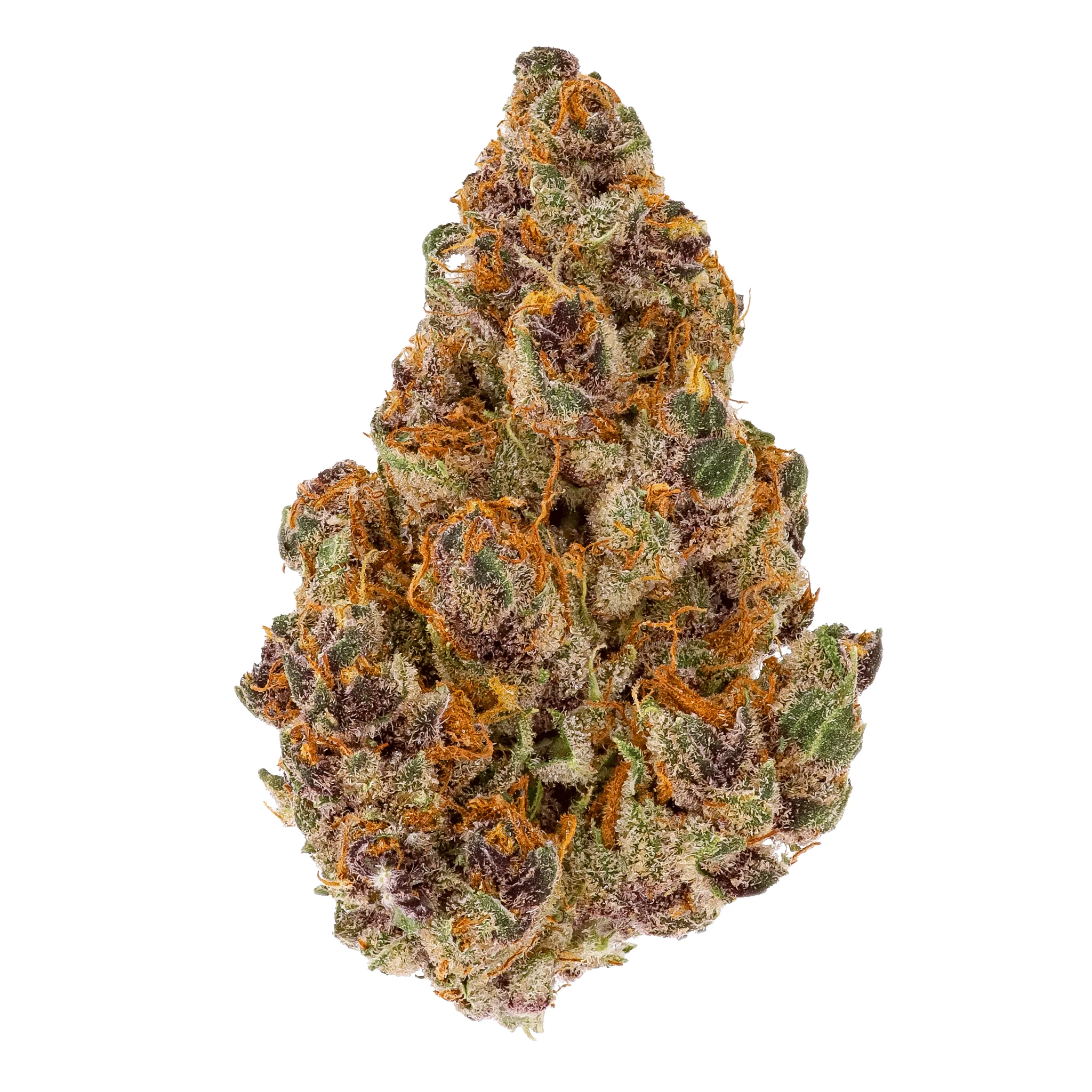 SR71_3.5g-flower_Tangerine-Dream_bud