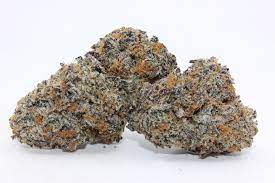 Pure Michigan cannabis buds, showcasing a mix of deep green and orange hues with a frosty coating of trichomes, exuding earthy, piney aromas.