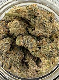 Buy White Cherry Gelato