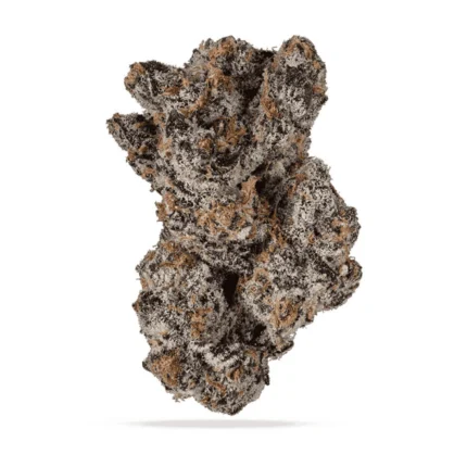 Pure Michigan cannabis buds, showcasing a mix of deep green and orange hues with a frosty coating of trichomes, exuding earthy, piney aromas.